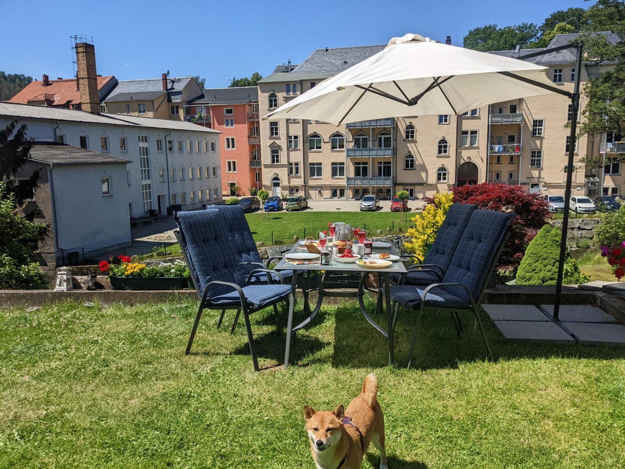 Appartamento Uo2 - Urlaubsmagie - Garten, Whirlpool, Sauna Sebnitz Esterno foto