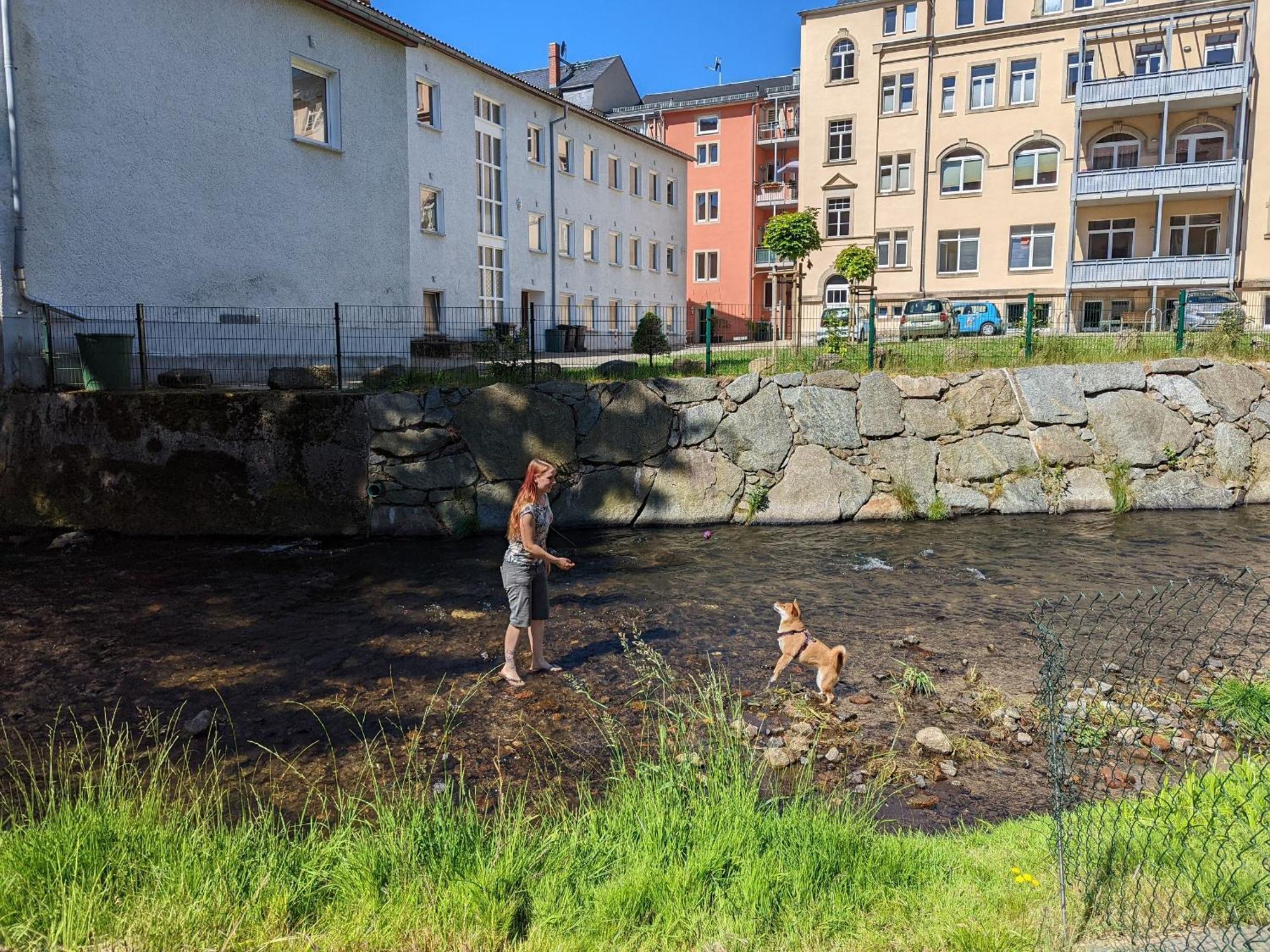 Appartamento Uo2 - Urlaubsmagie - Garten, Whirlpool, Sauna Sebnitz Esterno foto